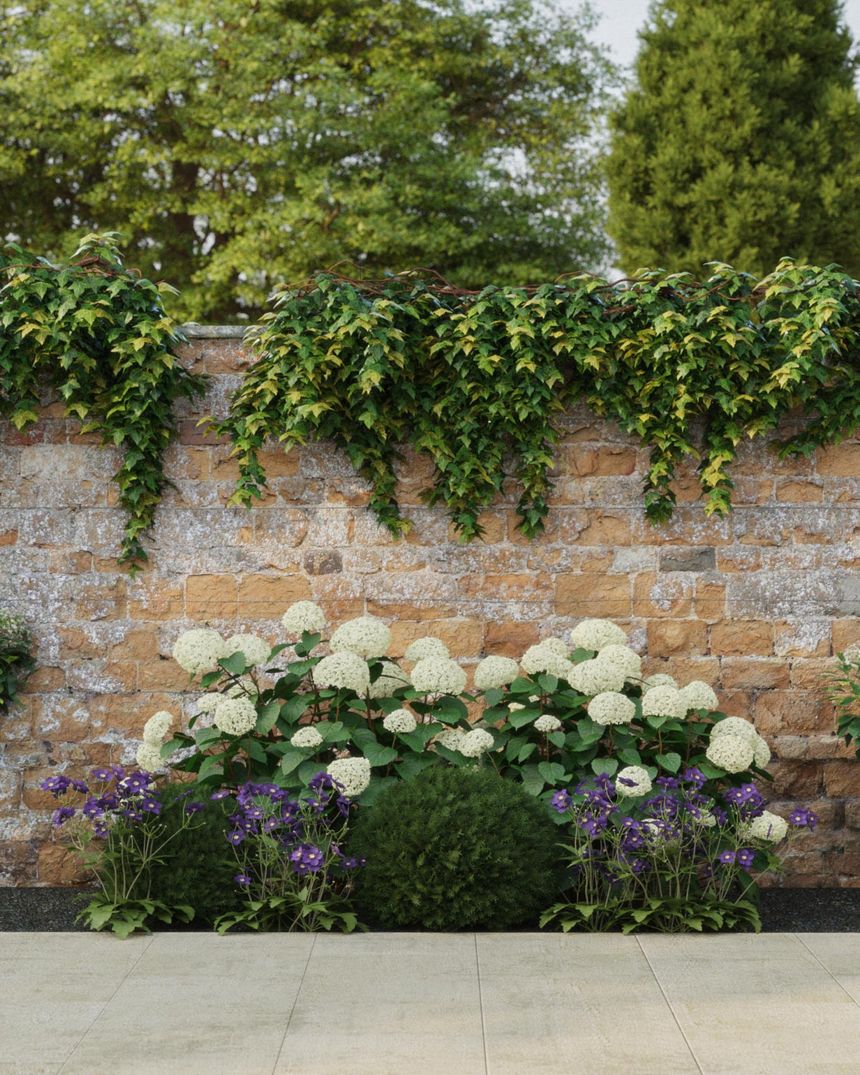 products/SOTOClassicProduct-ViewA-Shade2mNarrow.jpg